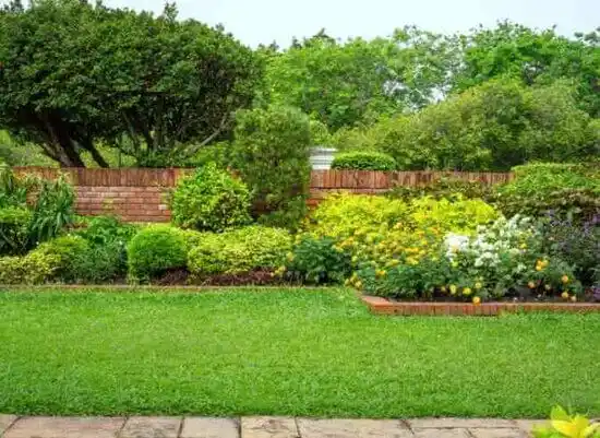 landscaping services Questa